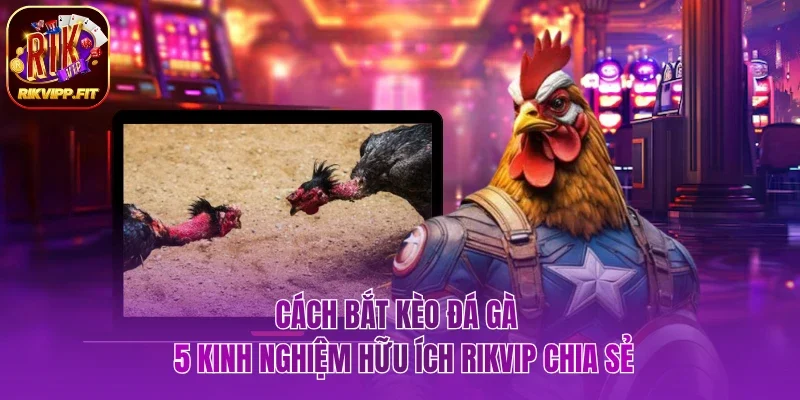Cách bắt kèo đá gà